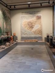 Museo de Historia Natural del Bosque Petrificado de Lesbos