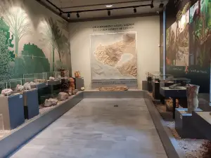 Museo de Historia Natural del Bosque Petrificado de Lesbos