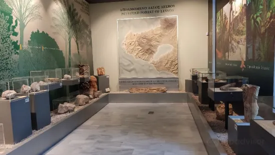 Natural History Museum of the Lesvos Petrified Forest