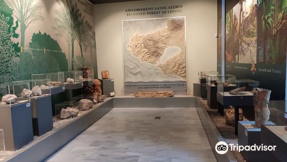 Natural History Museum of the Lesvos Petrified Forest