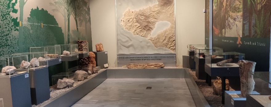 Natural History Museum of the Lesvos Petrified Forest
