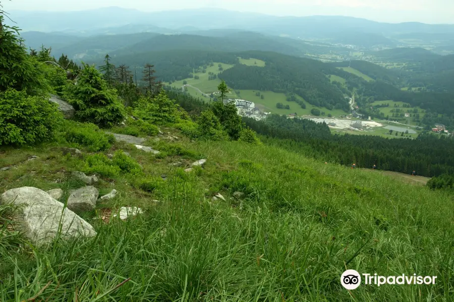 Czarna Gora Peak