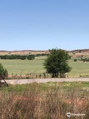 Washita Battlefield National Historic Site