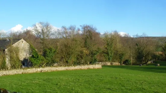 RSPB Leighton Moss Nature Reserve