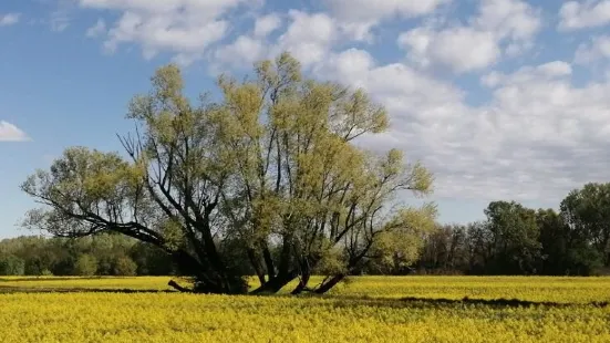 South Adda Regional Park