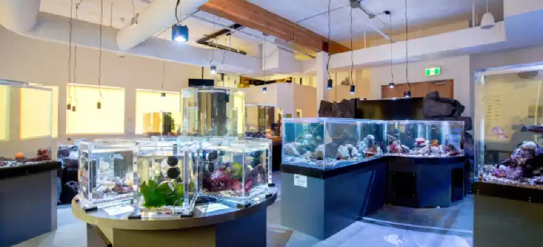 ギブソンズのホテル