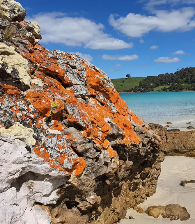 Boat Harbour Beach