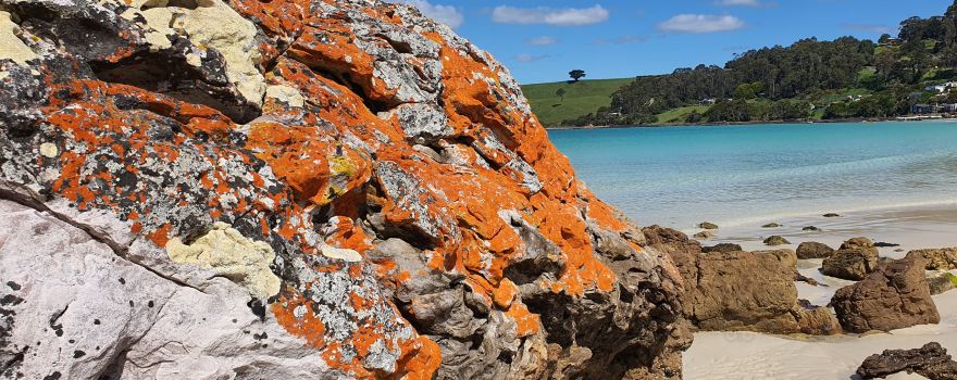 Boat Harbour Beach