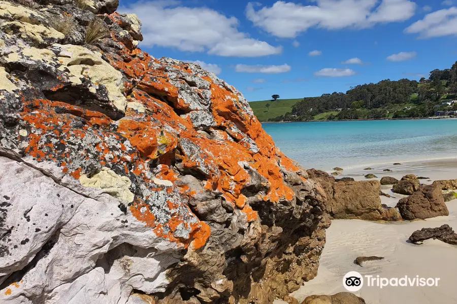 Boat Harbour Beach