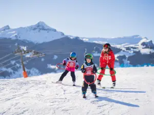 ลานสกียอดนิยมในกรินเดลวัลด์