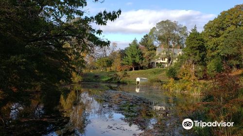 Cedarmere Park