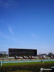 Hippodrome de Hanshin