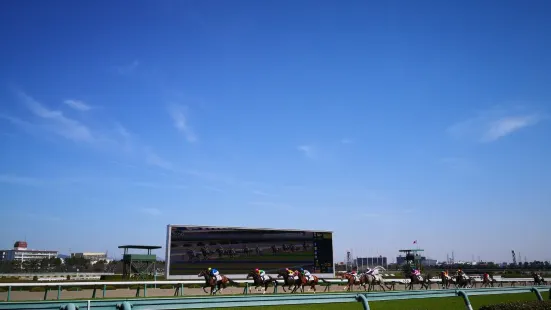 阪神競馬場