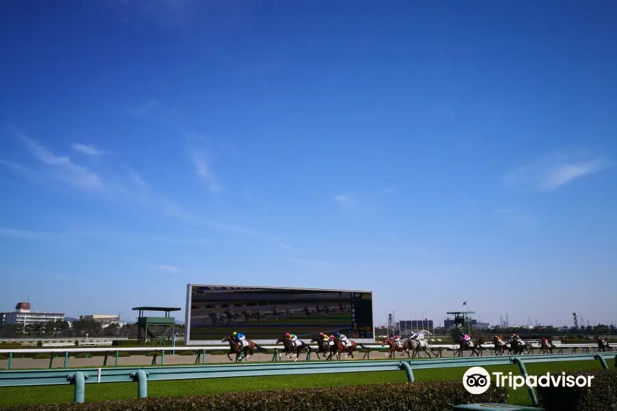 阪神競馬場