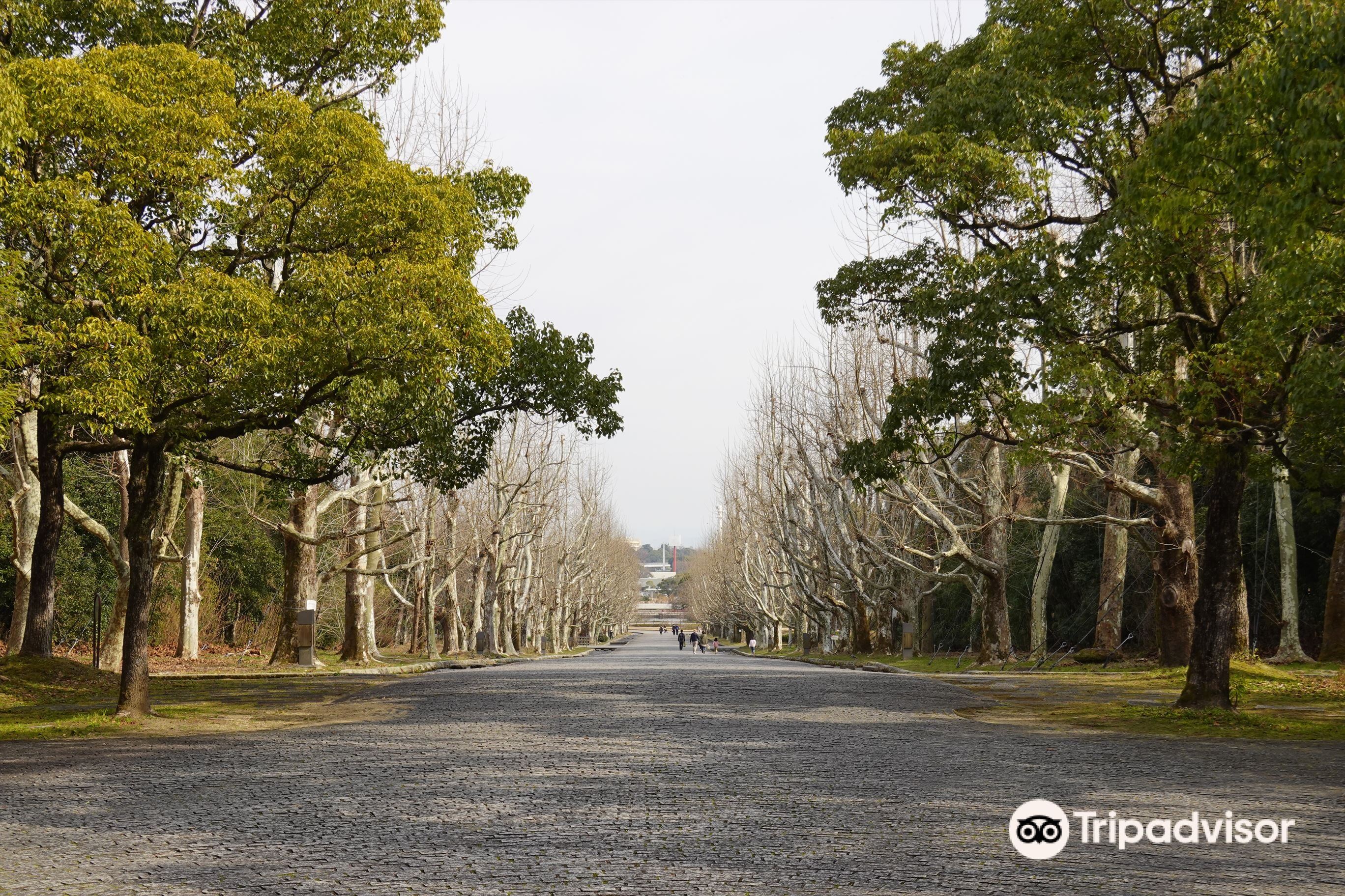 大阪 万博記念公園 入場Eチケット 予約