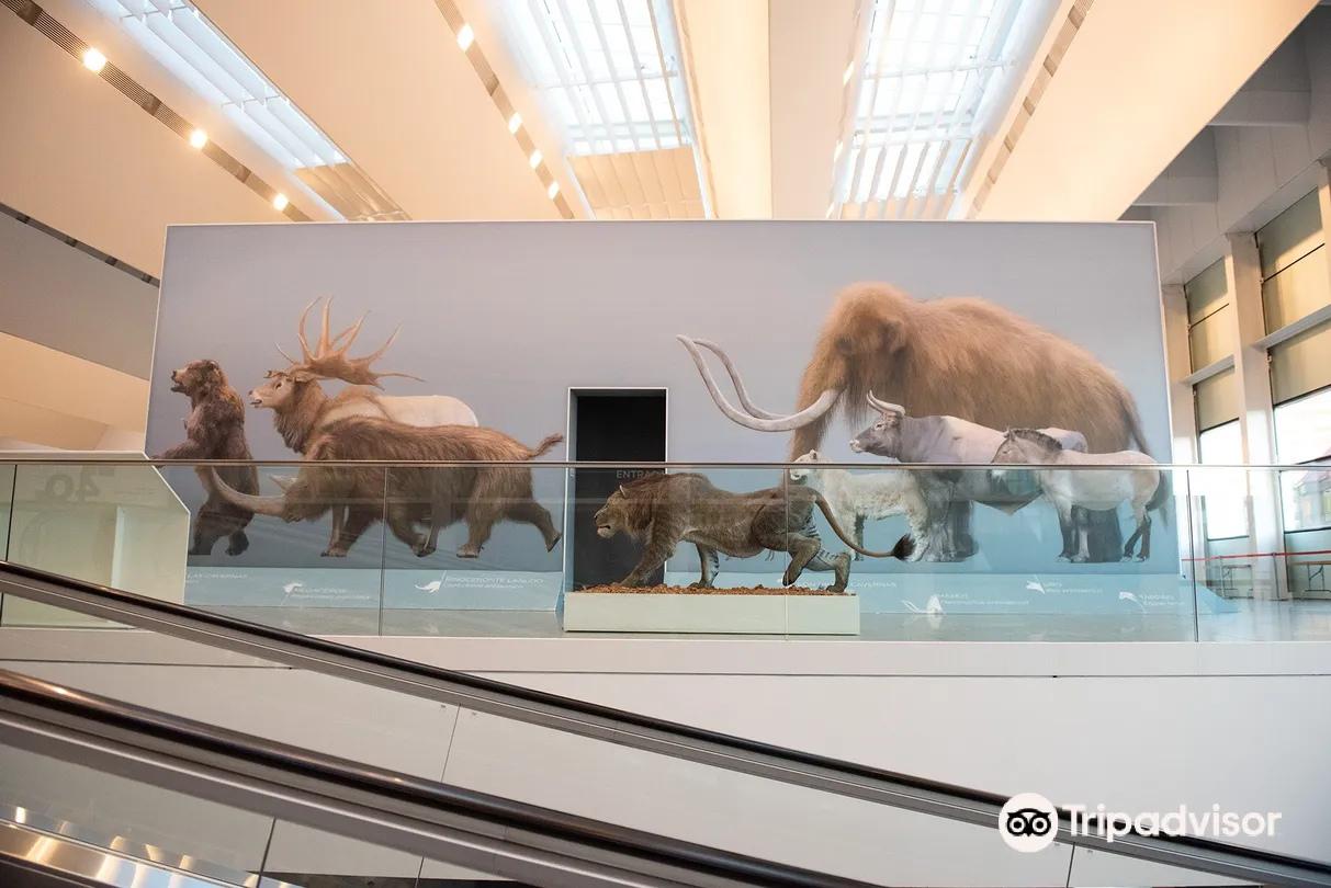 5_Museum of Human Evolution