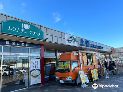 Kamisato Service Area (down)