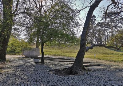 John F Kennedy Memorial