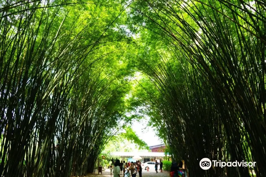 Wat Chulabhorn Wanaram