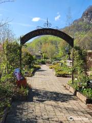 Lake Lure Flowering Bridge