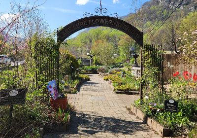 Lake Lure Flowering Bridge