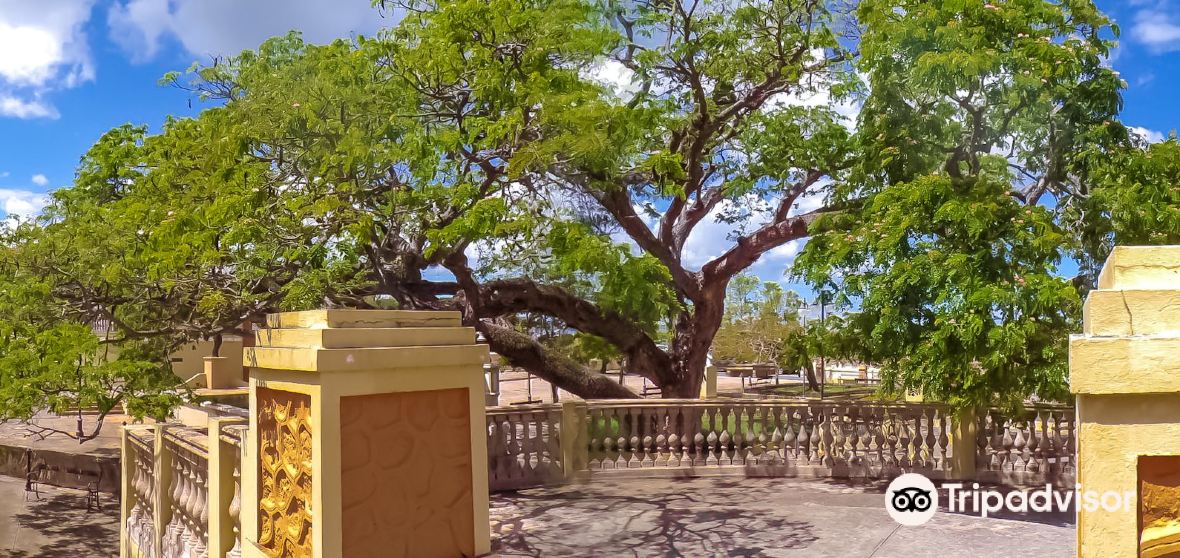 Aguadilla Travel Guide 2026: Top Attractions, Things to do & Itinerary