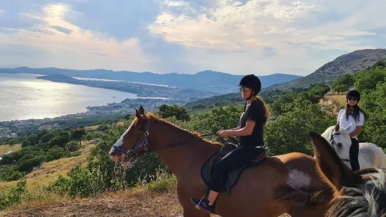 Horse back riding podstrana