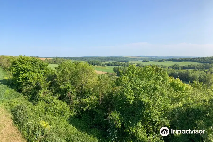 Caverne du Dragon, Musee du Chemin des Dames