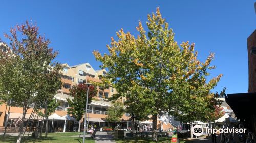 Salamanca Square