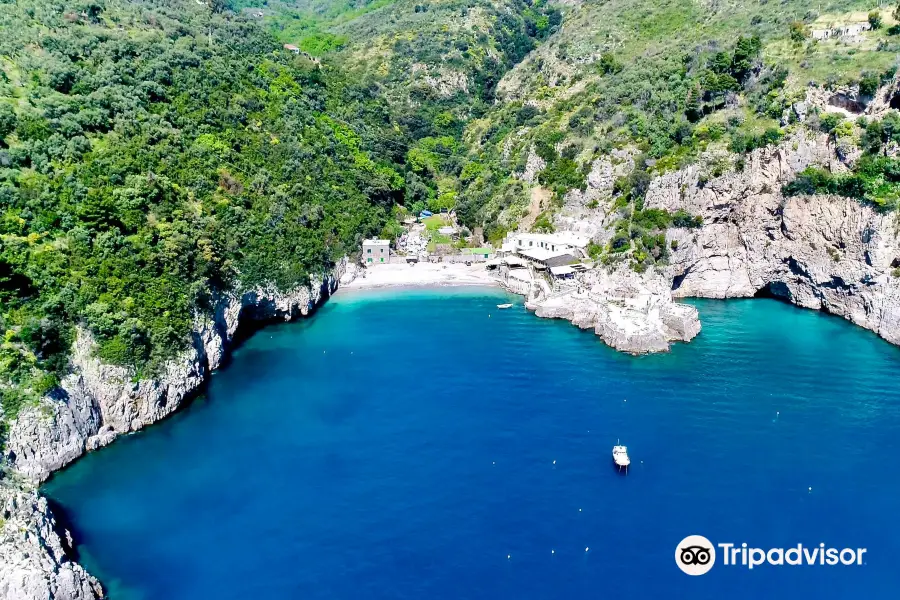 Spiaggia di Recommone