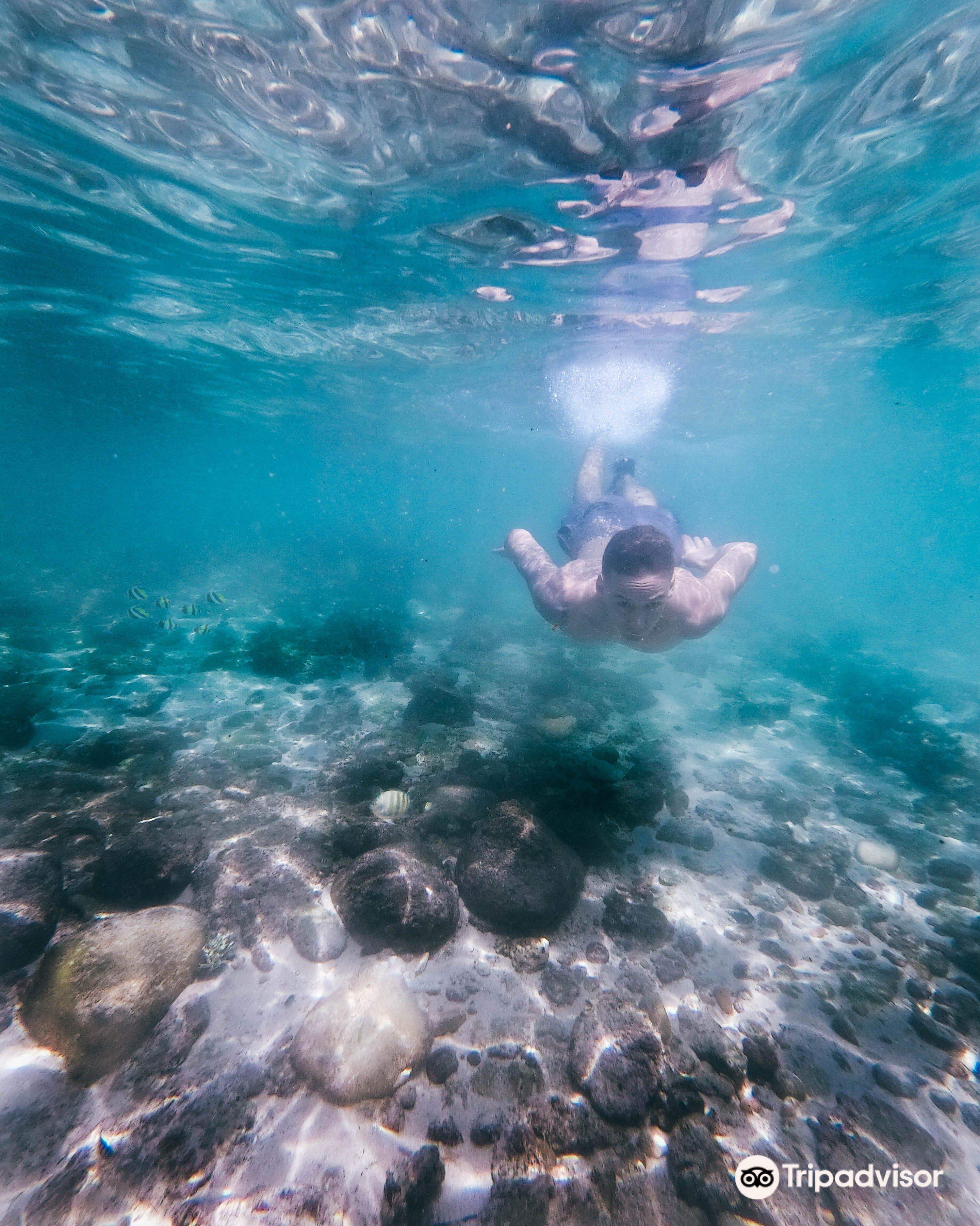 2025 Mirissa Travel Guide: Must-see attractions, popular food, hotels, transportation routes (updated in October)