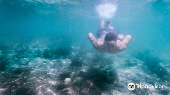 Secret Beach Mirissa