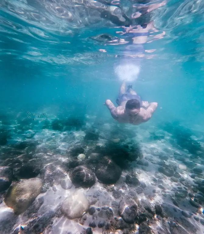 เมอริสสา