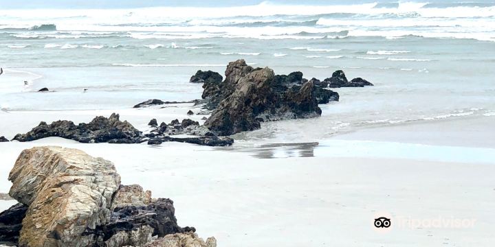 Voëlklip Beach