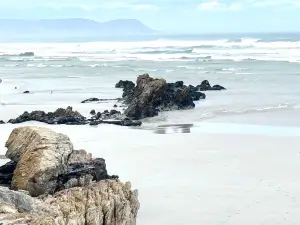 Voëlklip Beach