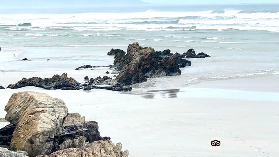 Voëlklip Beach