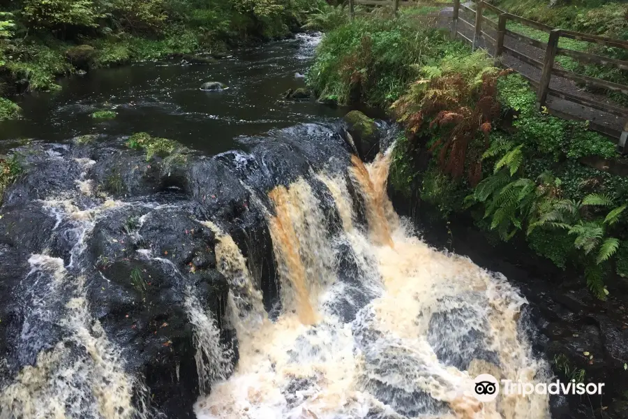 Glenariff Forest Park Caravan Park