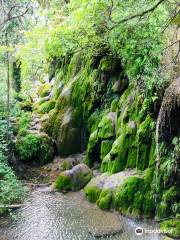 Colorado Bend State Park