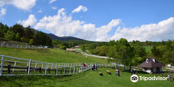Makiba Park
