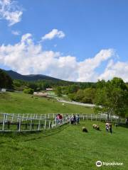 山梨県立 まきば公園