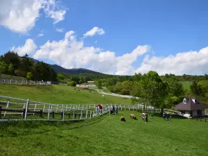 Makiba Park