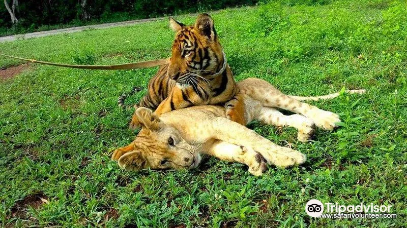 5_ซาฟารีปาร์ค