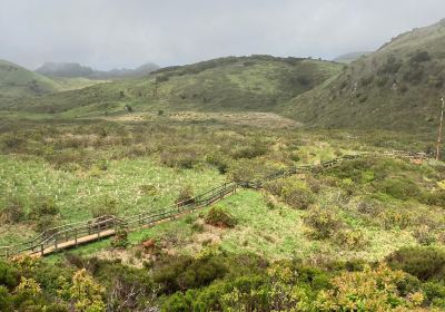 Furnas do Enxofre