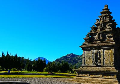 Candi Arjuna Dieng