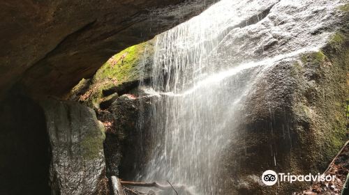 Nelson-Kennedy Ledges State Park