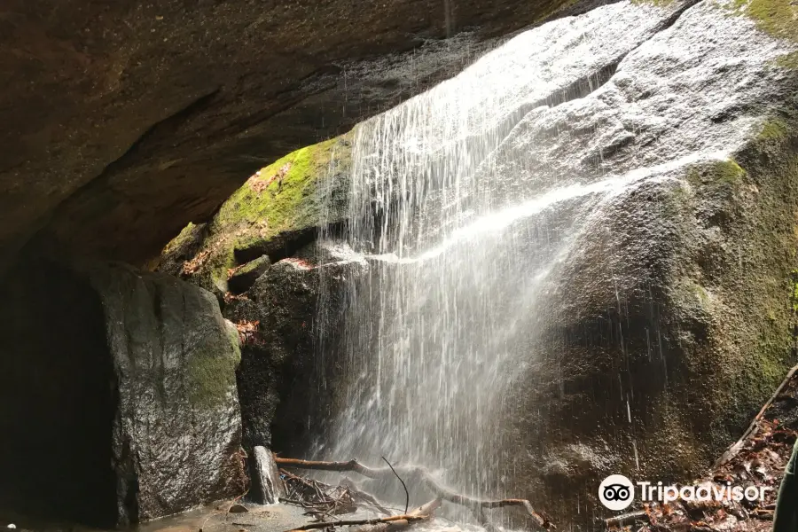 Nelson-Kennedy Ledges State Park