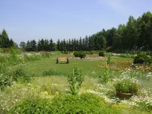 紫竹遊華花園