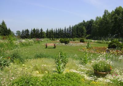 紫竹遊華花園