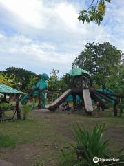 Albay Park & Wildlife