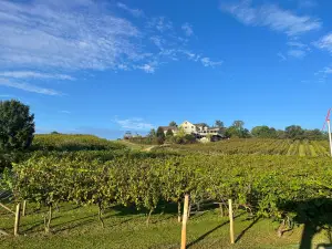 Frogtown Cellars